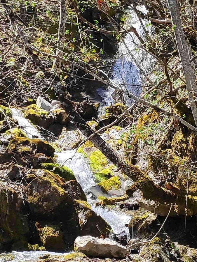 Cottage Modrich Struga Bagian luar foto