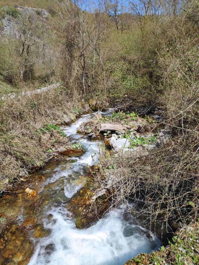 Cottage Modrich Struga Bagian luar foto