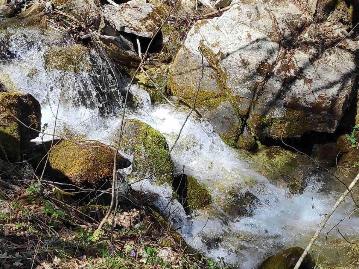 Cottage Modrich Struga Bagian luar foto