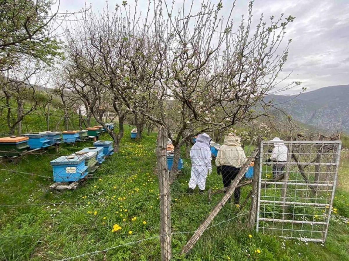 Cottage Modrich Struga Bagian luar foto