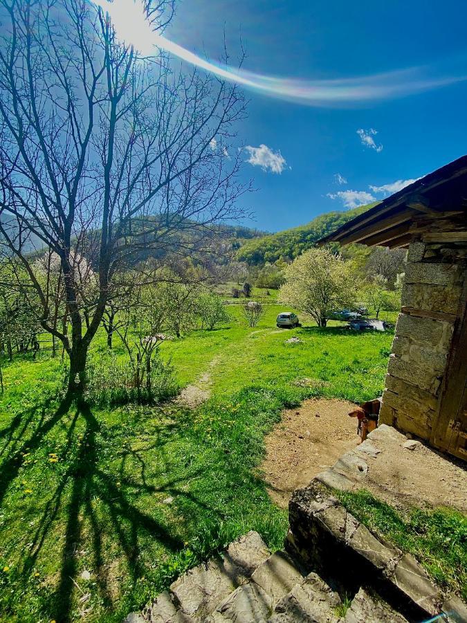 Cottage Modrich Struga Bagian luar foto