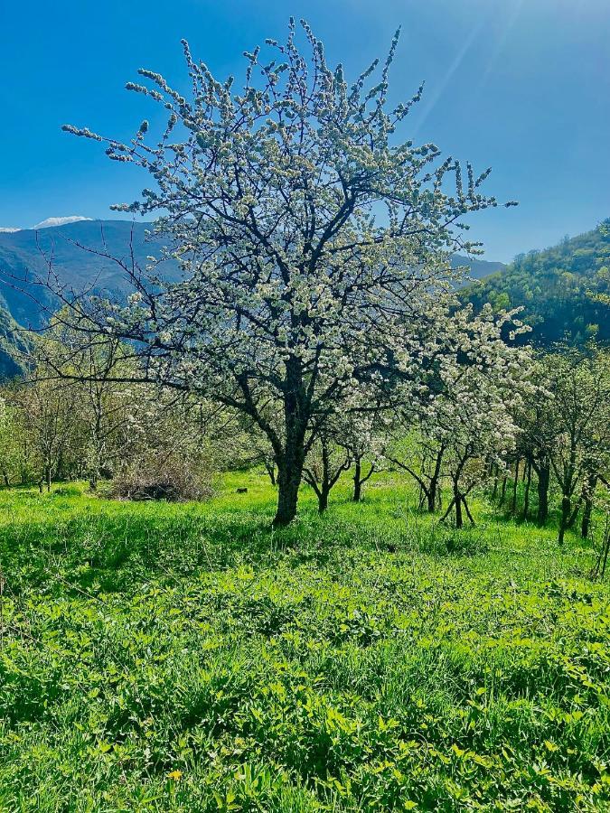 Cottage Modrich Struga Bagian luar foto