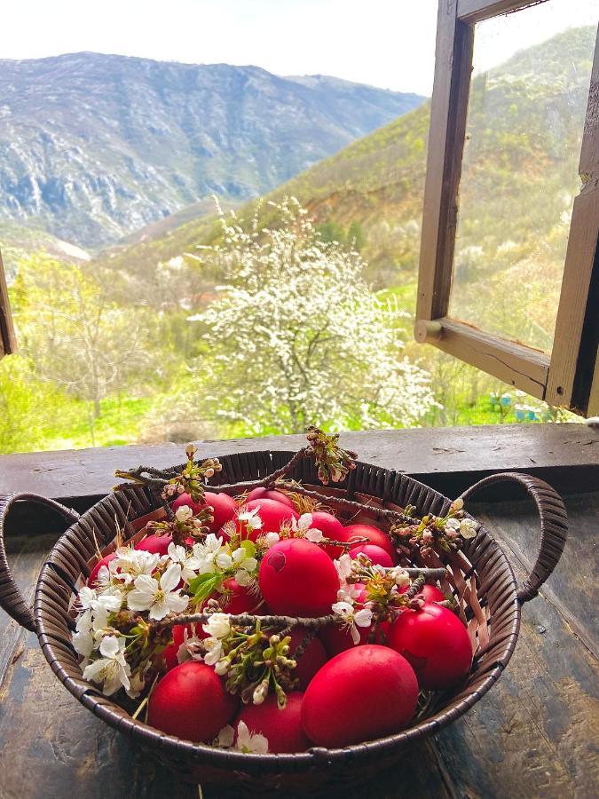 Cottage Modrich Struga Bagian luar foto