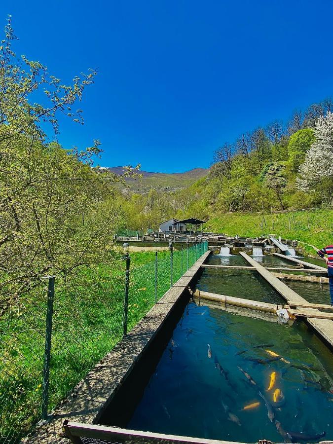 Cottage Modrich Struga Bagian luar foto