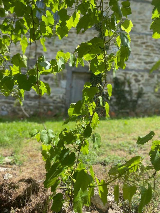 Cottage Modrich Struga Bagian luar foto